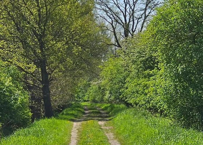 Tohuus - Bei Hamburg Appartement